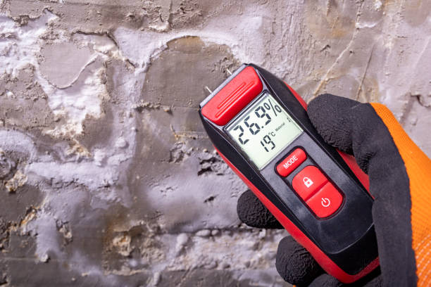 Best Certified Mold Removal  in Canadian, TX