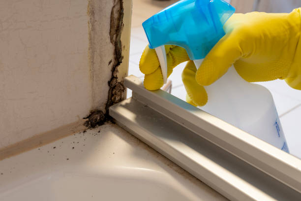 Best Mold Cleaning Services  in Canadian, TX