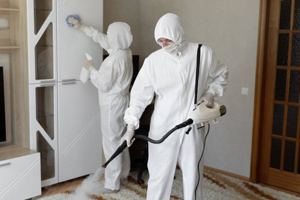 Best Certified Mold Removal  in Canadian, TX