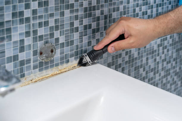 Best Mold Removal Near Me  in Canadian, TX