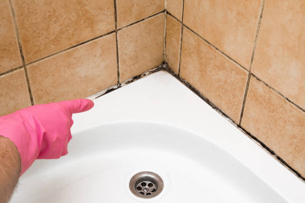 Best Local Mold Removal Service  in Canadian, TX